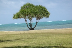 hawaii2012_104