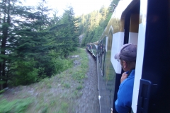 train2011june_10