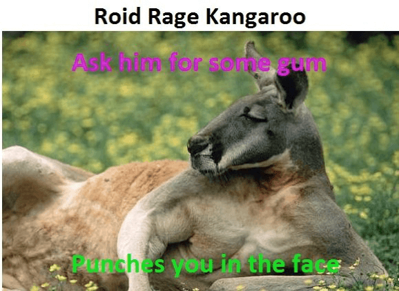 Roid roo- picture also not accurate
