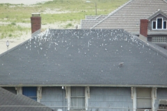 2011-08-02_at_07-37-12