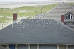 2011-08-02_at_07-37-18