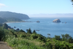 2011-08-03_at_09-44-39