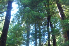 2011-08-03_at_14-12-29