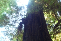 2011-08-03_at_14-13-00