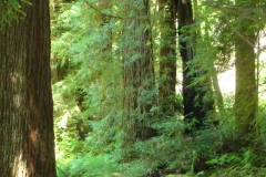 2011-08-03_at_14-13-15