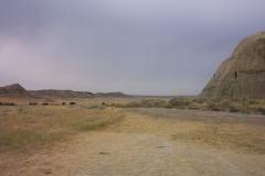 adf