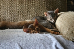 2011-08-10_at_10-38-51