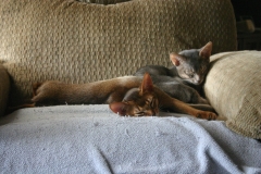 2011-08-10_at_10-38-56