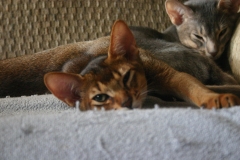 2011-08-10_at_10-39-08