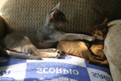 2011-08-15_at_09-46-46