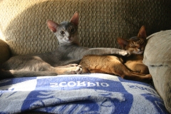 2011-08-15_at_09-46-52