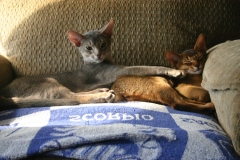 2011-08-15_at_09-46-54