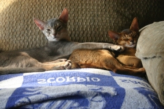 2011-08-15_at_09-47-07