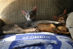 2011-08-15_at_09-47-10