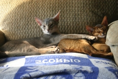 2011-08-15_at_09-47-12