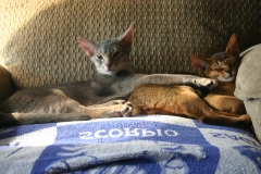 2011-08-15_at_09-47-13