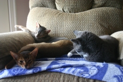 2011-09-17_at_13-43-36