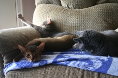 2011-09-17_at_13-43-39