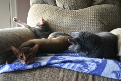 2011-09-17_at_13-43-40