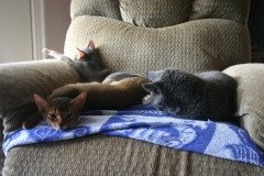 2011-09-17_at_13-43-44