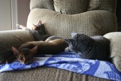 2011-09-17_at_13-43-49