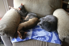 2011-09-17_at_13-43-54