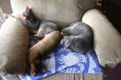 2011-09-17_at_13-43-59