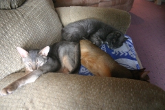 2011-09-17_at_13-44-12