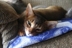 2011-09-17_at_13-44-23