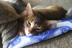 2011-09-17_at_13-44-25