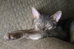 2011-09-17_at_13-44-41