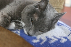 2011-09-17_at_13-44-49