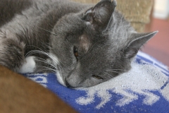 2011-09-17_at_13-44-51