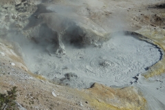 DSCN1132 - 2014-07-04 at 07-34-36