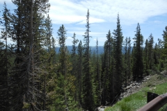 DSCN1173 - 2014-07-05 at 11-47-49