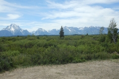 DSCN1177 - 2014-07-05 at 13-57-44