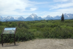 DSCN1178 - 2014-07-05 at 13-57-52