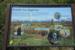 DSCN1179 - 2014-07-05 at 13-58-28