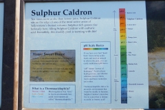 P1040172 - 2014-07-04 at 07-37-50