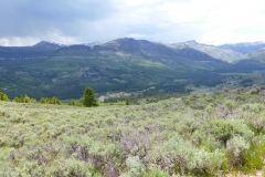 P1040174 - 2014-07-04 at 13-01-54