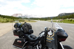 P1040177 - 2014-07-04 at 13-20-04