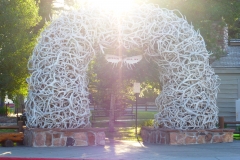 P1040201 - 2014-07-06 at 05-53-09