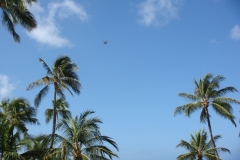 hawaii2012_58