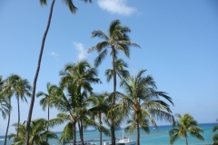 hawaii2012_59