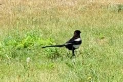 58464850869__681F66D8-AD89-438D-8FBE-6DC11B922AE1