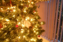 DSCN1225 - 2014-12-20 at 08-48-10