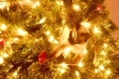 DSCN1227 - 2014-12-20 at 08-48-25