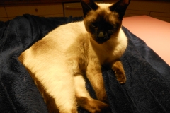 DSCN1236 - 2015-01-04 at 20-26-02