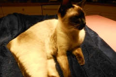 DSCN1237 - 2015-01-04 at 20-26-13