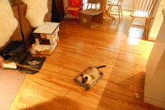 DSCN1240 - 2015-01-11 at 13-32-21